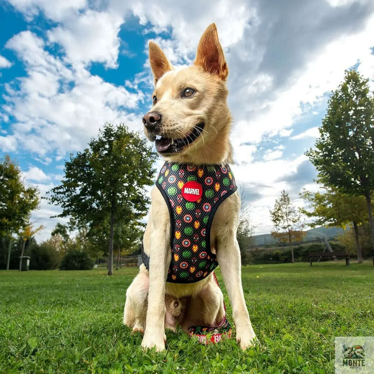 Hundegeschirr Marvel Reversibel Rot XS-MONTE-PETS