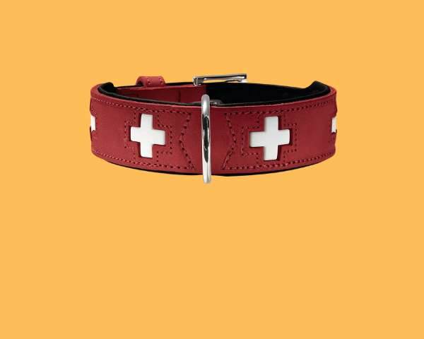 Hundehalsbaender und Hundeleinen - MONTE-PETS