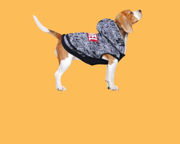 Hunde- und Katzenkleidung - MONTE-PETS