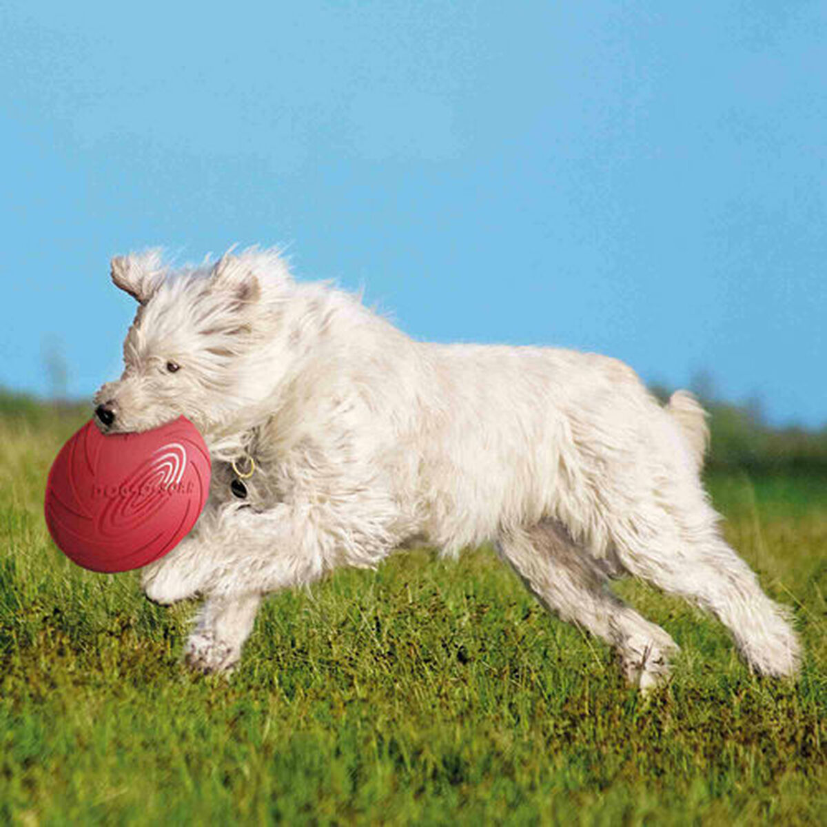 Frisbee Trixie Kautschuk Ø 24 cm