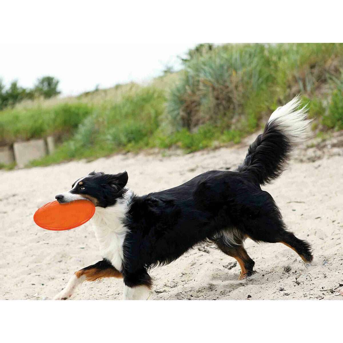 Frisbee Trixie TPR Ø 22 cm