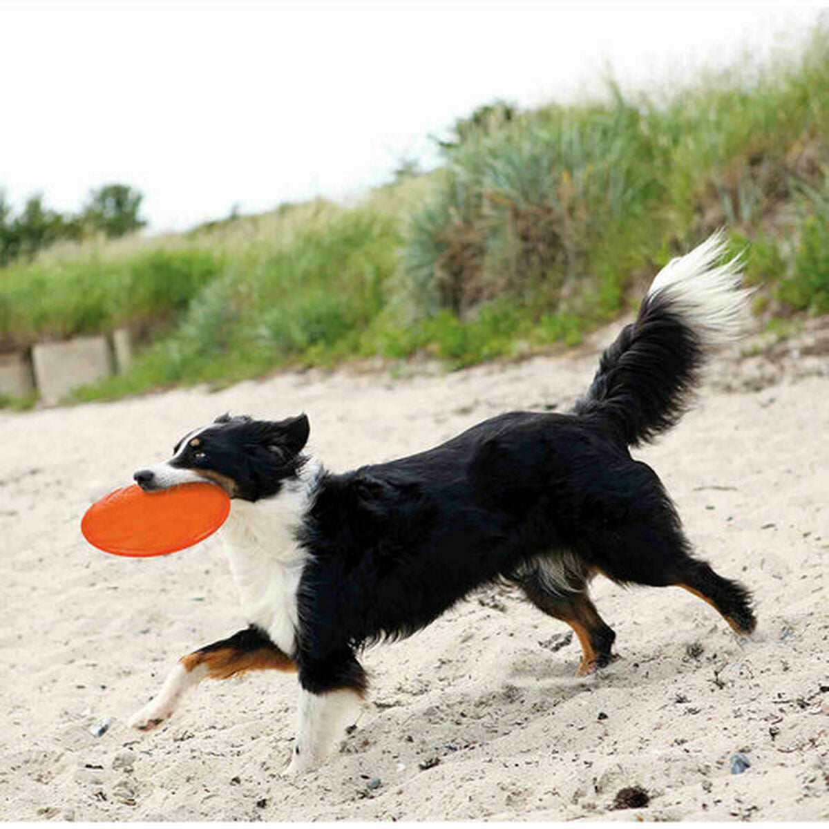 Frisbee Trixie TPR Ø 22 cm