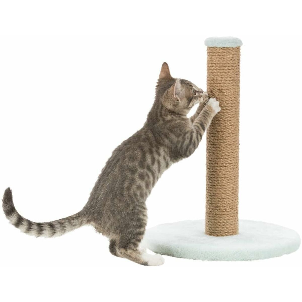 Kratzbaum für Katzen Trixie Minze | MONTE PETS