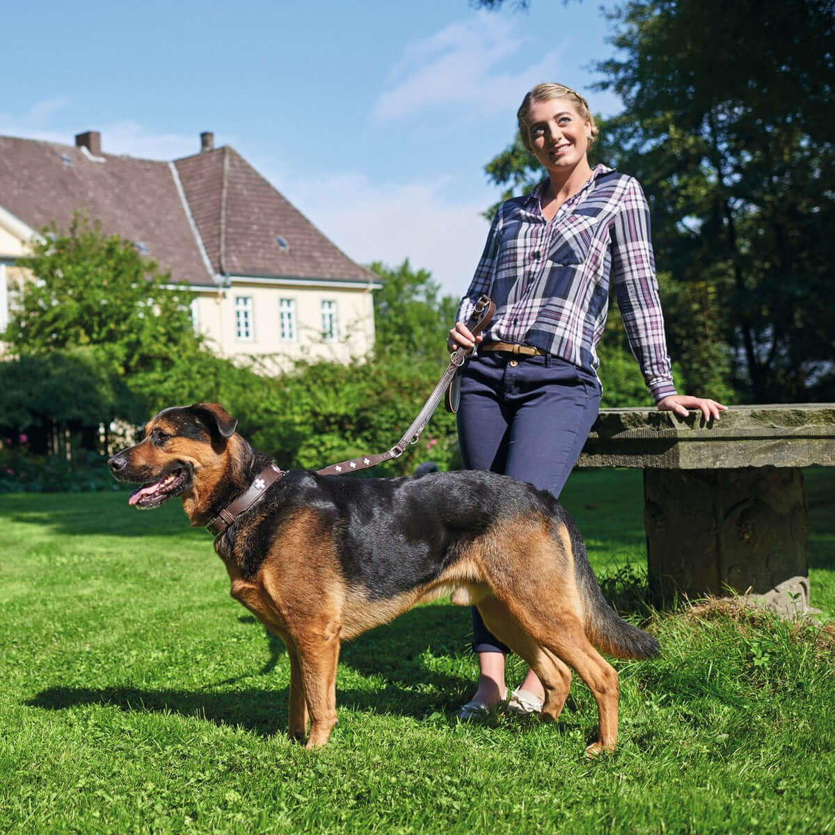 Hundehalsband Hunter Braun Schwarz M 55 cm | MONTE PETS