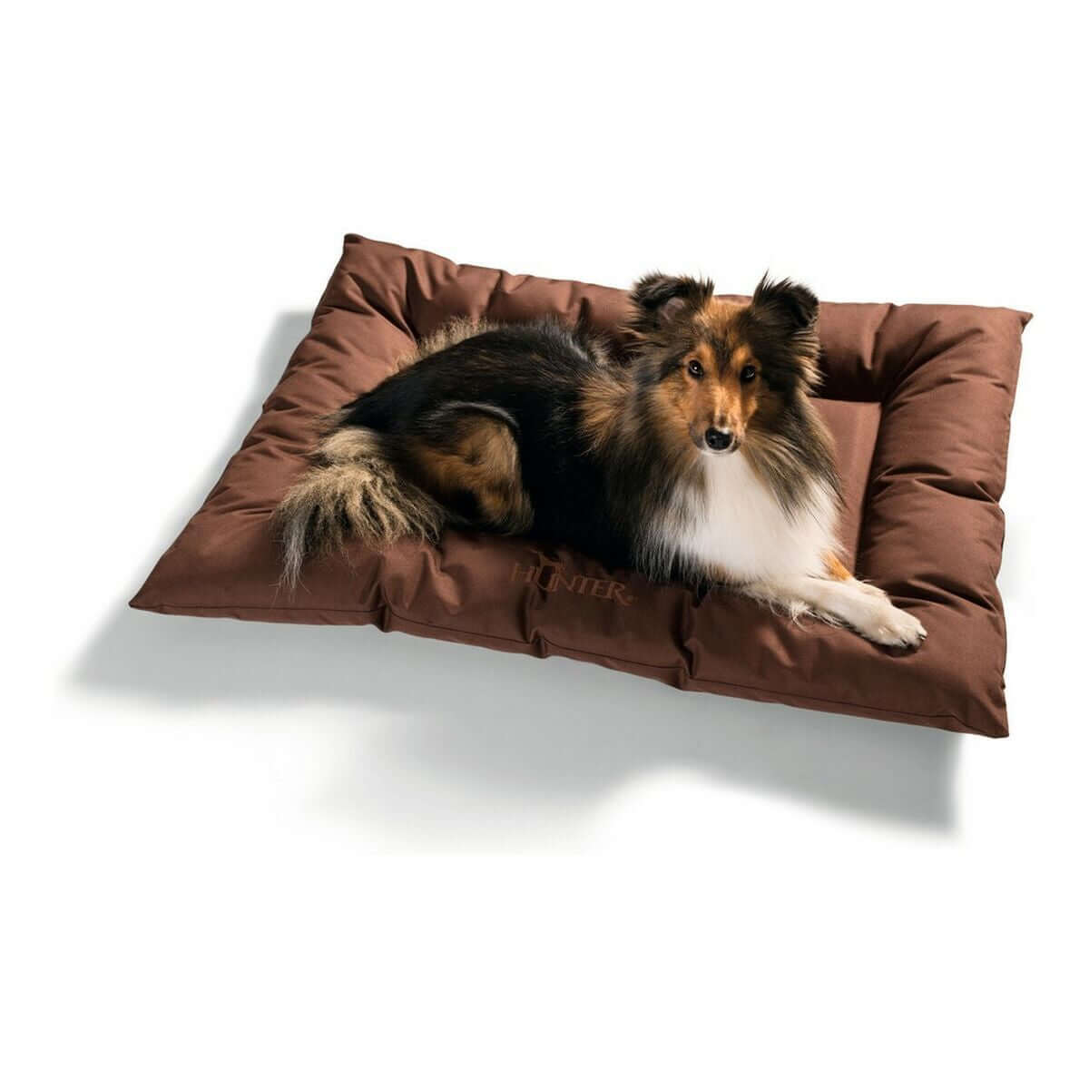 Hunter Gent Hundebett Braun 80 x 60 cm mit glücklichem Hund auf dem gemütlichen Polster.