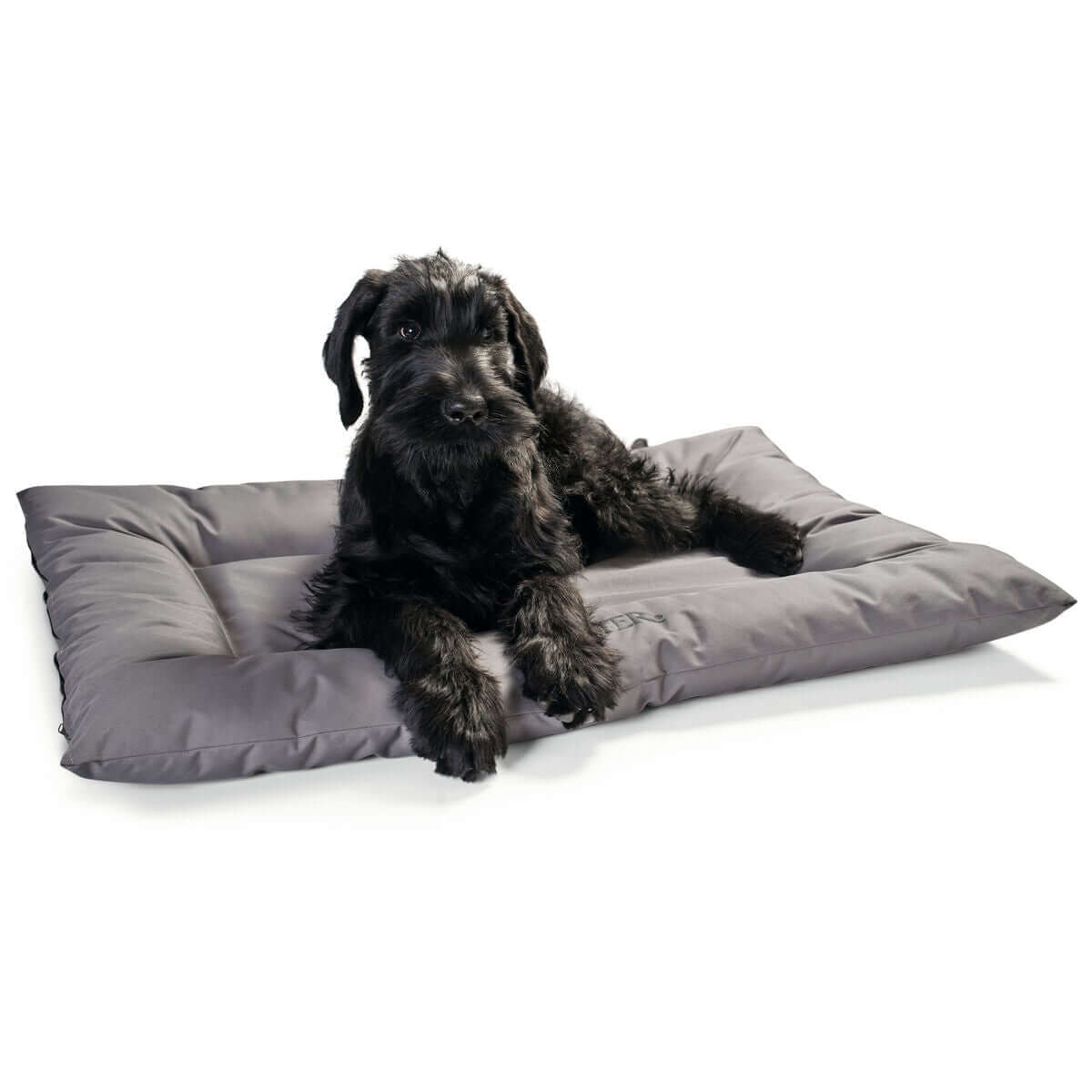Hund liegt bequem auf dem Hunter Gent Hundebett Grau 80 x 60 cm von MONTE PETS.