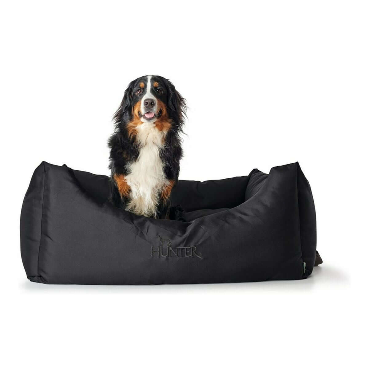 Hundesofa Hunter Gent Schwarz 60 x 45 cm mit Hund in bequemer Position auf dem Sofa