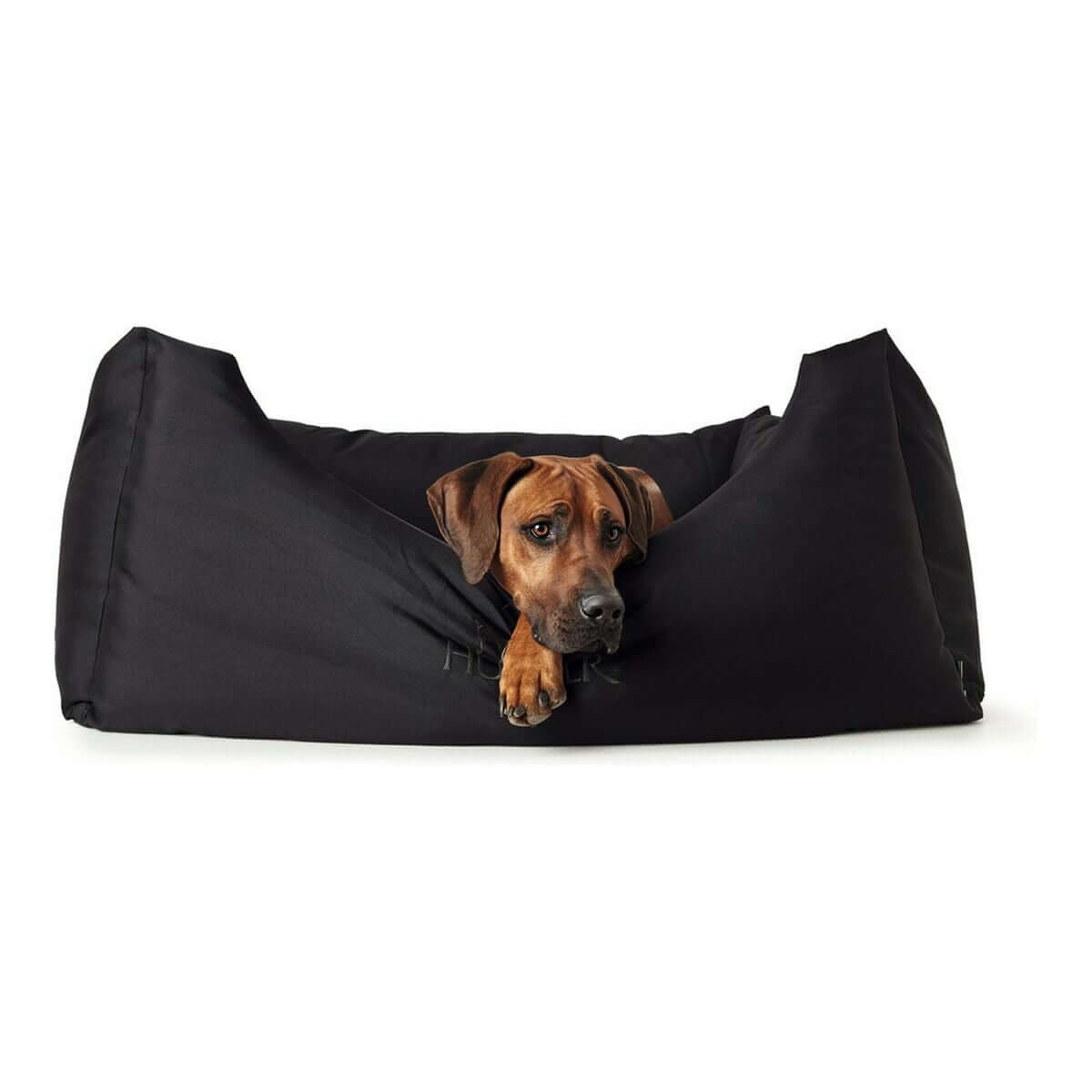 Hundesofa Hunter Gent Schwarz 60 x 45 cm mit neugierigem Hund, stilvoll und komfortabel.