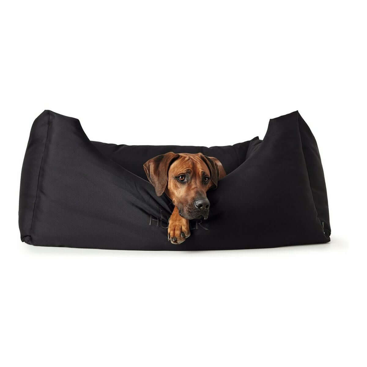 Hundesofa Hunter Gent Schwarz mit einem entspannten Hund, ideal für Komfort und stilvolles Design.