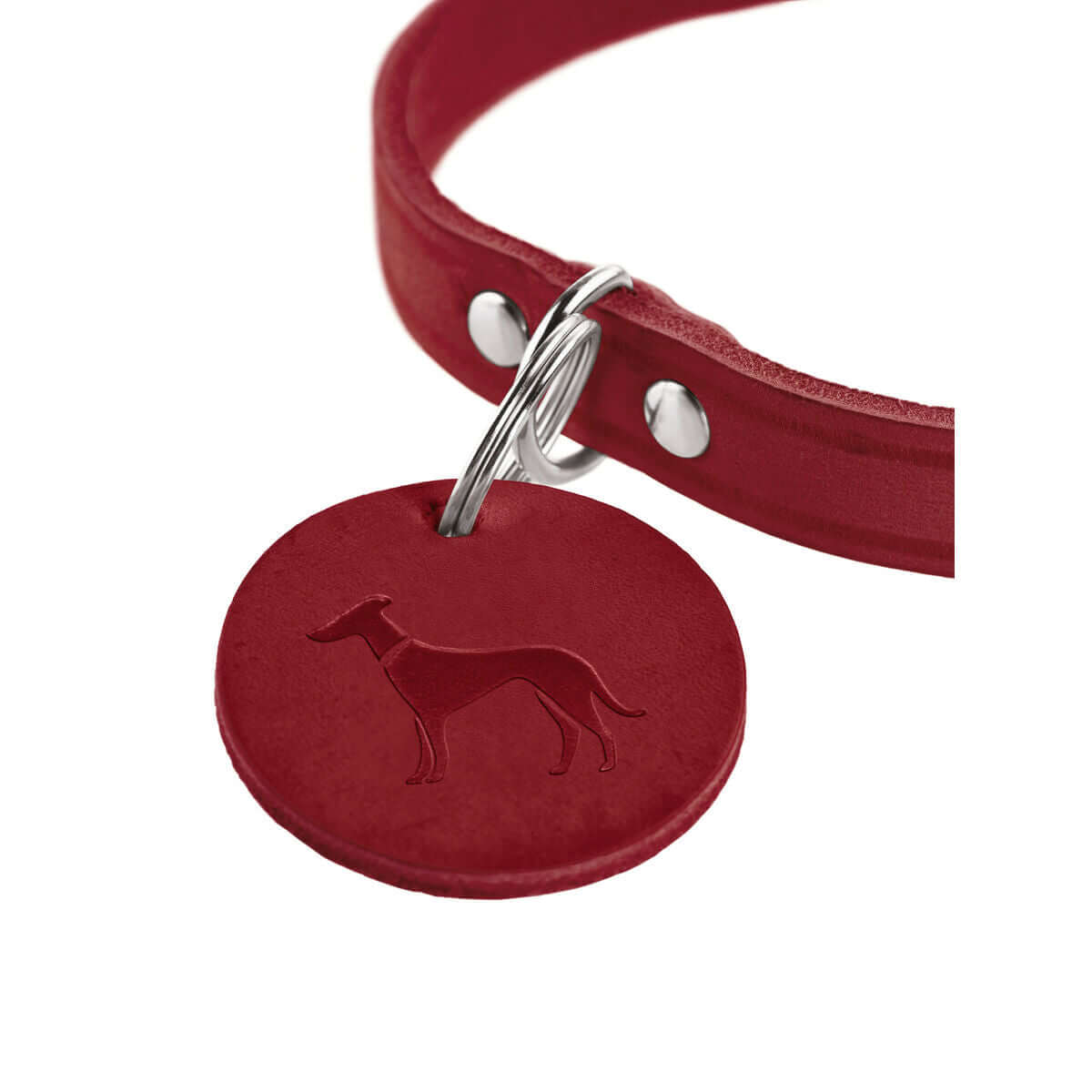 Hunter Aalborg Hundehalsband Rot XS/S 28-33 cm | MONTE PETS