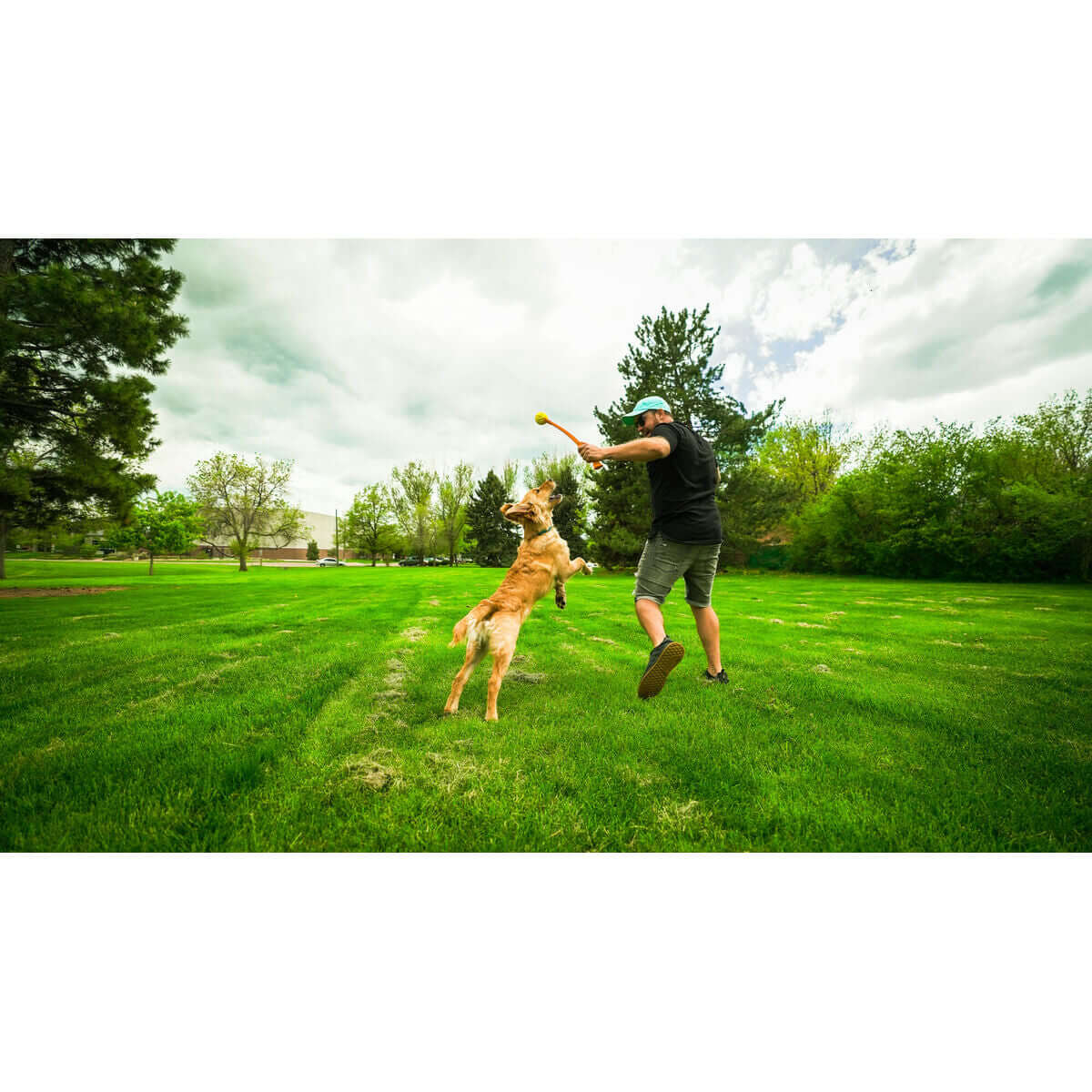 Hund spielt mit Ballwurfmaschine im Park – aktive Hundebesitzer mit ihrem Hund.