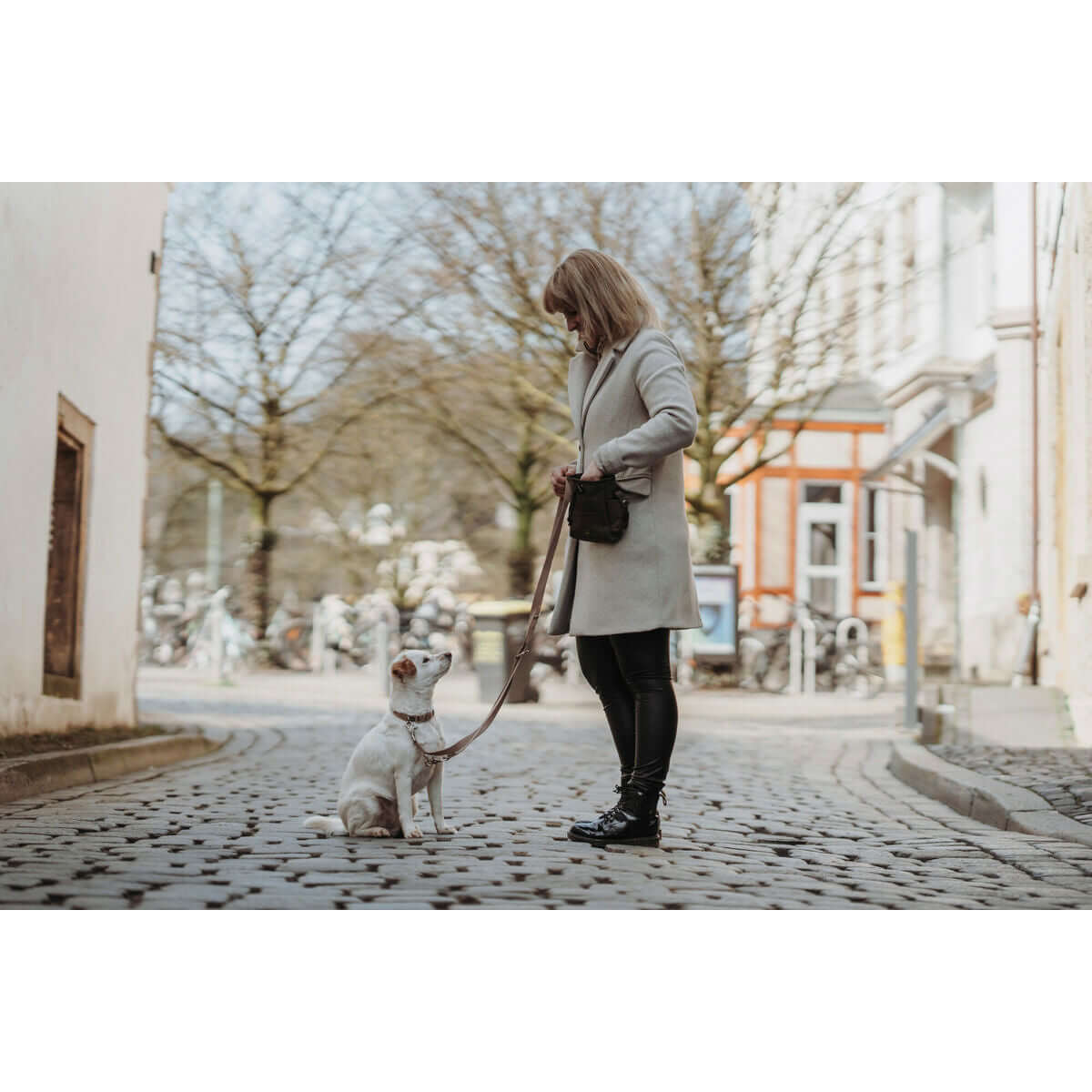 Hundehalsband Hunter Inari Beige XL 45-65 cm | MONTE PETS