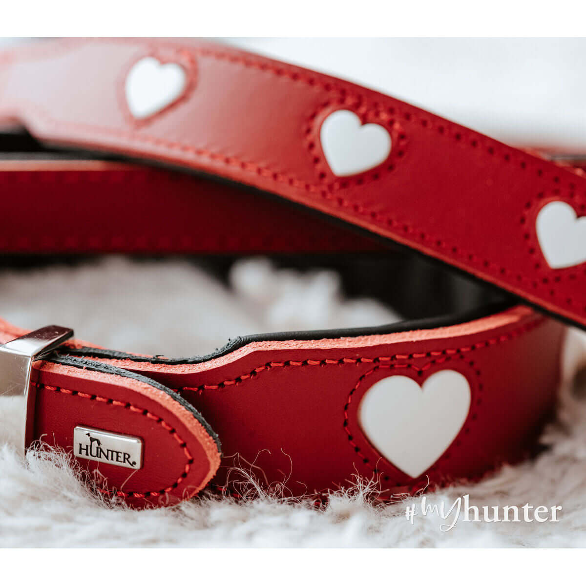 Hundehalsband Hunter Love M 41-49 cm Rot | MONTE PETS