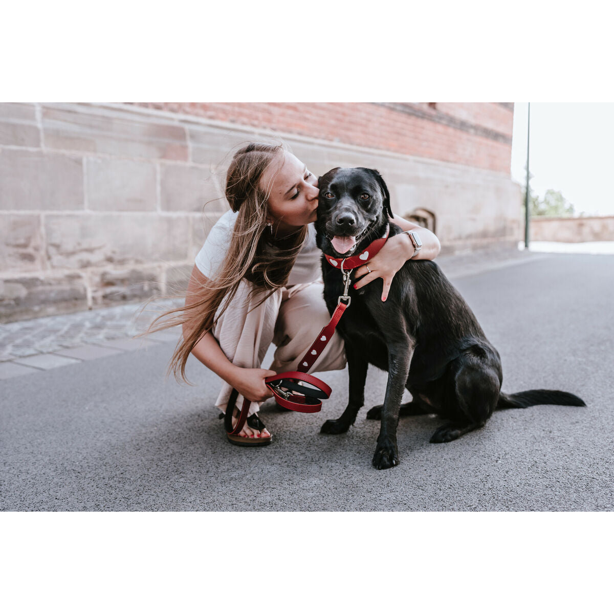 Hunter Love – Einstellbare Hundeleine Rot 2 m aus Nylon | MONTE PETS