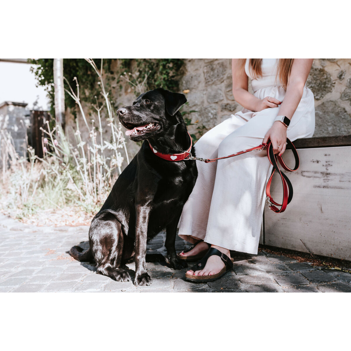 Hunter Love – Einstellbare Hundeleine Rot 2 m aus Nylon | MONTE PETS