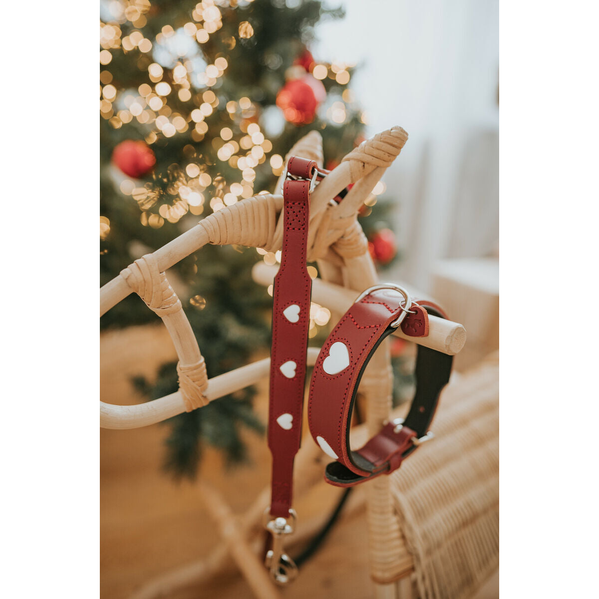 Hunter Love – Einstellbare Hundeleine Rot 2 m aus Nylon | MONTE PETS
