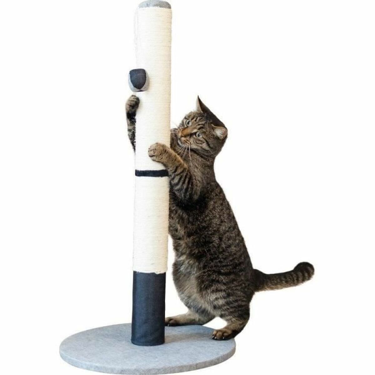 Kratzbaum für Katzen Kerbl – Haustier-Produkte | MONTE PETS