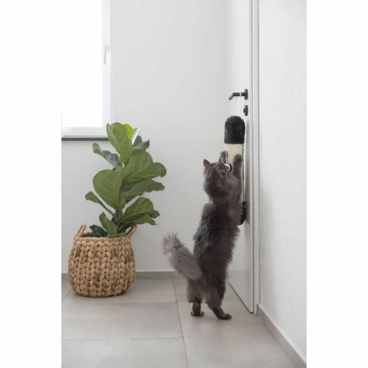 Hängekratzbaum Weiß/Schwarz | MONTE PETS