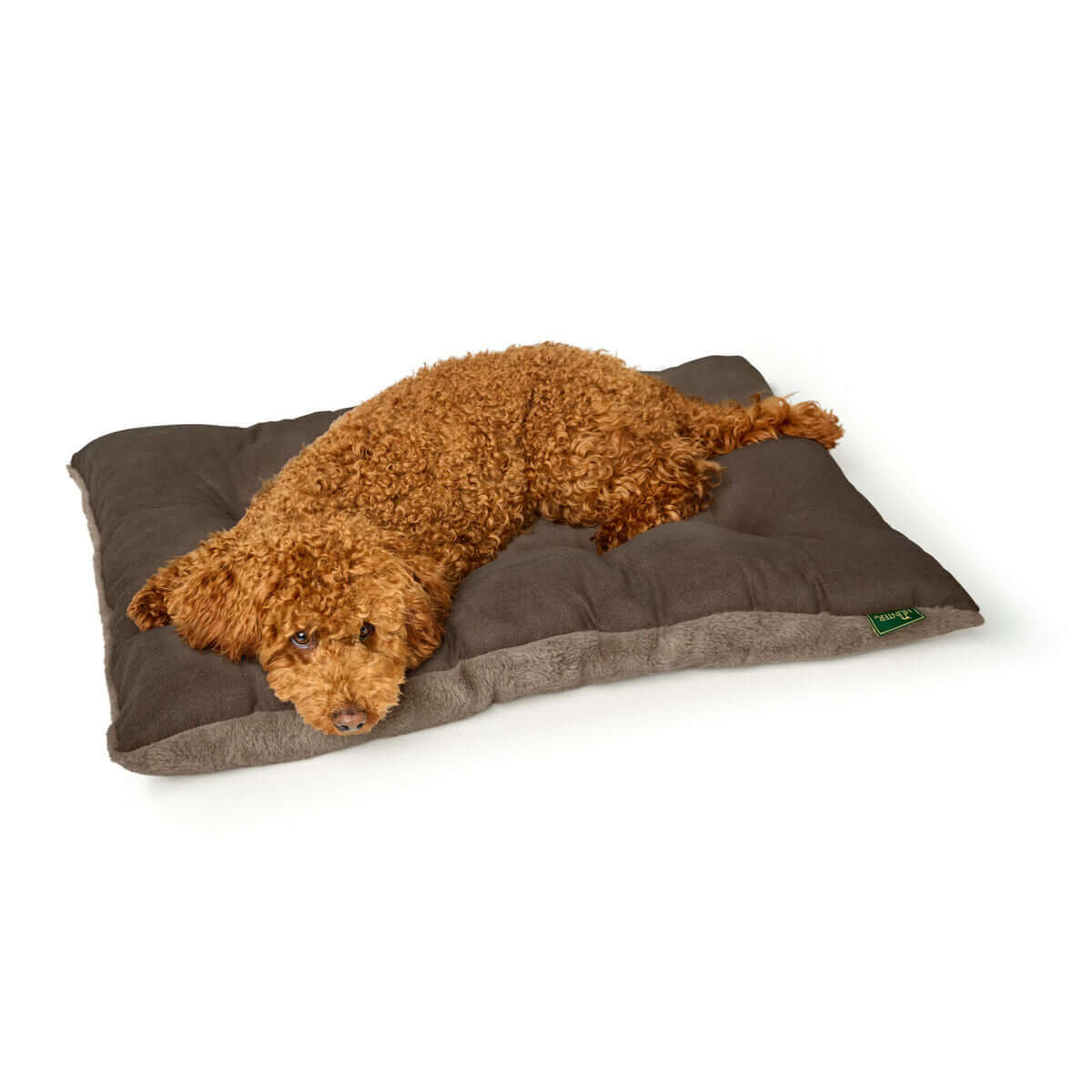 Hund liegt entspannt auf dem Hunter Rockford Hundebett Braun 120 x 80 cm von MONTE PETS.