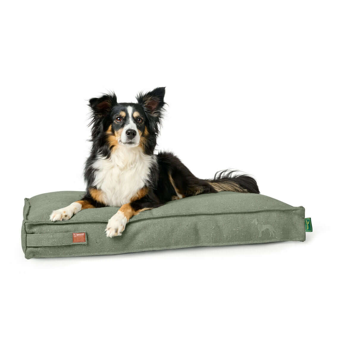 V3H2483AE99741374ABC41A5D787D075A69R5574642P4