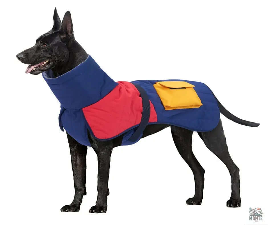 Warmer Hunde-Wintermantel in Blau-Rot für kalte Tage, idealer Schutz vor Kälte und Wind, ausgestattet mit praktischen Taschen.