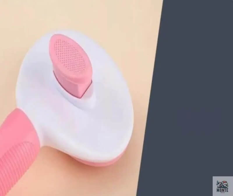 CareBrush – Fellpflegebürste für Hunde & Katzen in Premiumqualität | MONTE PETS