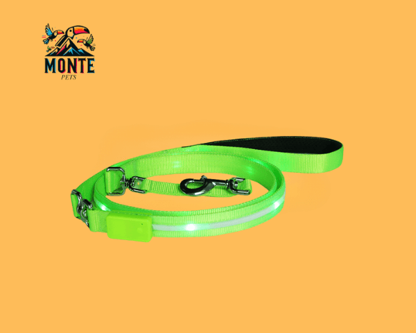 LED Hundeleine USB Aufladbar 120 cm in leuchtendem Grün von MONTE PETS, ideal für Nachtspaziergänge.