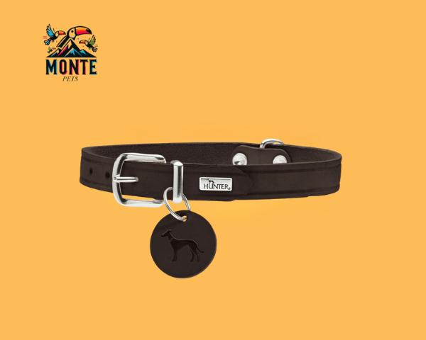 Hunter – Hundehalsband Schokolade 32-38 cm | MONTE PETS