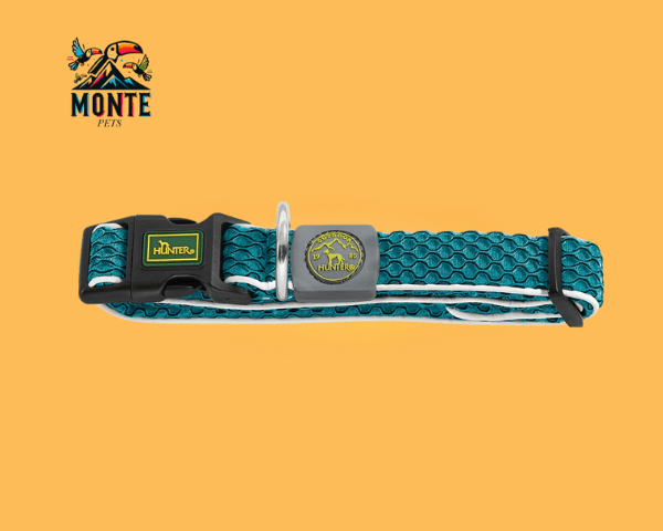 Hunter – Hundehalsband Türkis 12 33-50 cm | MONTE PETS