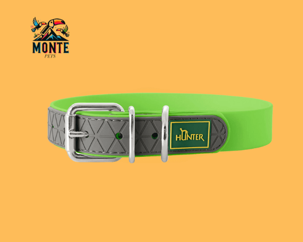 Hundehalsband Hunter Convenience Grün 28-36 cm von MONTE PETS auf orangefarbenem Hintergrund