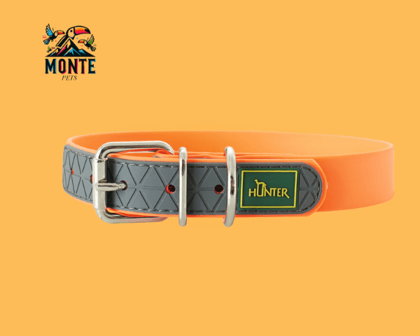Hundehalsband Hunter Convenience Orange 53-61 cm auf orangefarbenem Hintergrund von MONTE PETS.