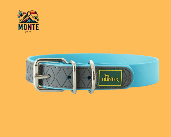 Hunter – Hundehalsband Turquoise 42-50 cm | MONTE PETS