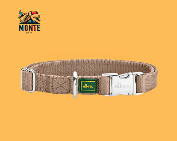 Hunter Inari Beige 40-55 cm | MONTE PETS
