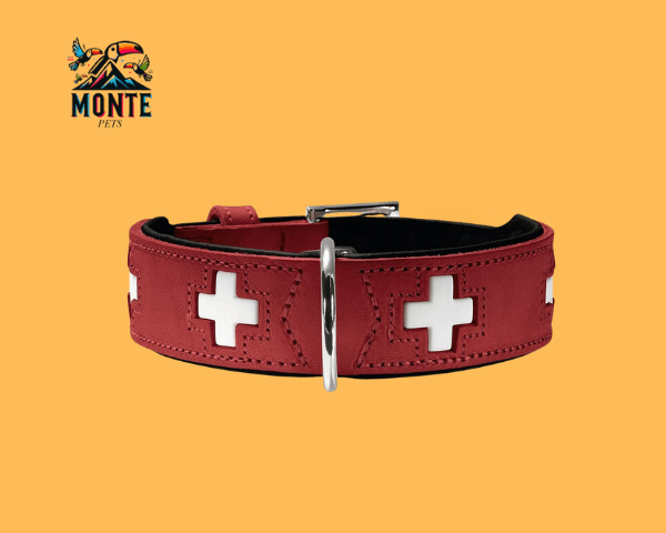 Hunter – Hundehalsband 35-43 cm | MONTE PETS