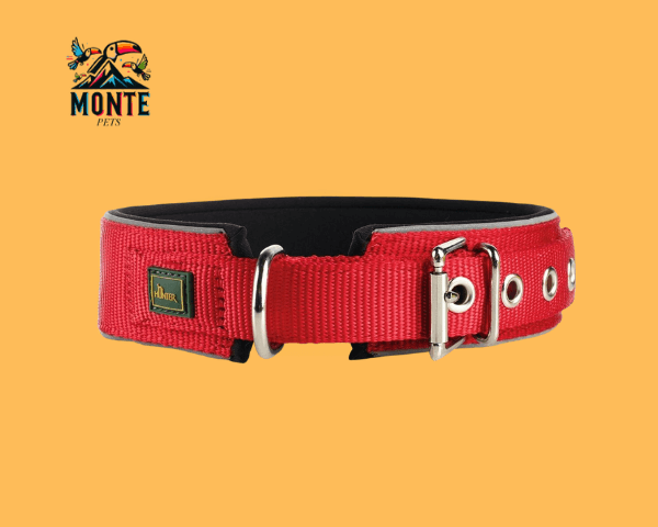 Hunter – Hundehalsband Rot 44-51 cm | MONTE PETS