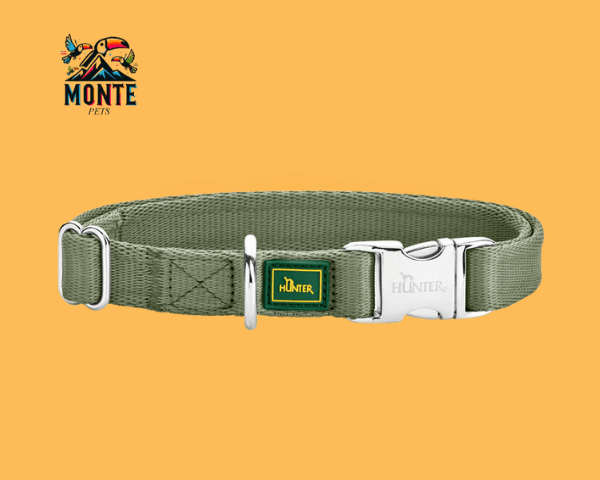Hundehalsband Hunter Grün 40-55 cm L | MONTE PETS