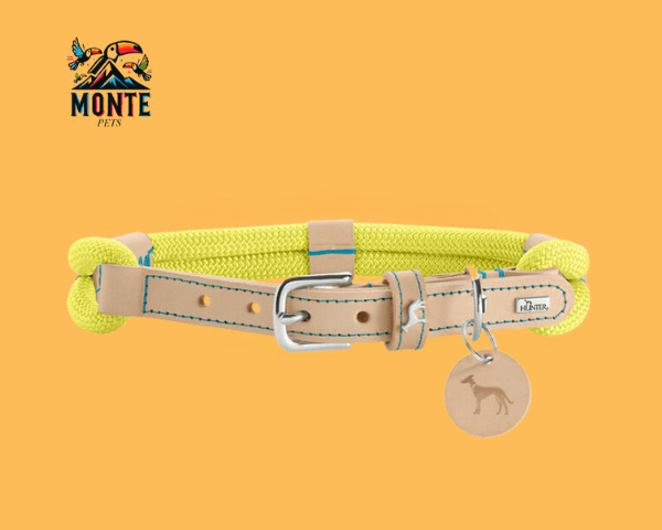 Hundehalsband Hunter Malia Neongrün 50-59 cm von MONTE PETS auf orangefarbenem Hintergrund