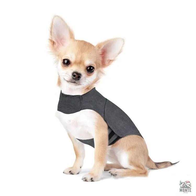 CozyGuard – Anti-Stress Weste für Hunde | MONTE PETS