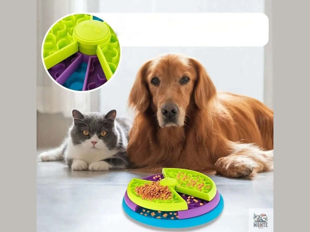 Think & Snack – Intelligenter Fressnapf für Hunde | MONTE PETS