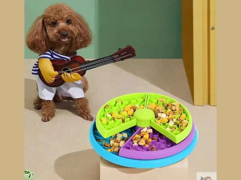 Think & Snack – Intelligenter Fressnapf für Hunde | MONTE PETS