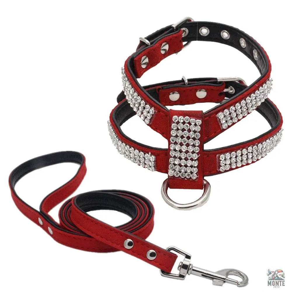 Glamour-Hundegeschirr – Hundesicherheit Schwarz Größe M | MONTE PETS