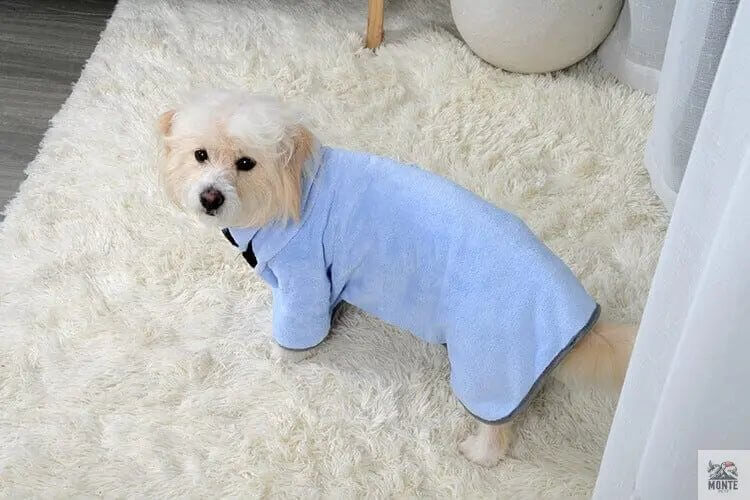 FellFix – Saugfähiges Haustier-Handtuch für Hunde und Katzen | MONTE PETS