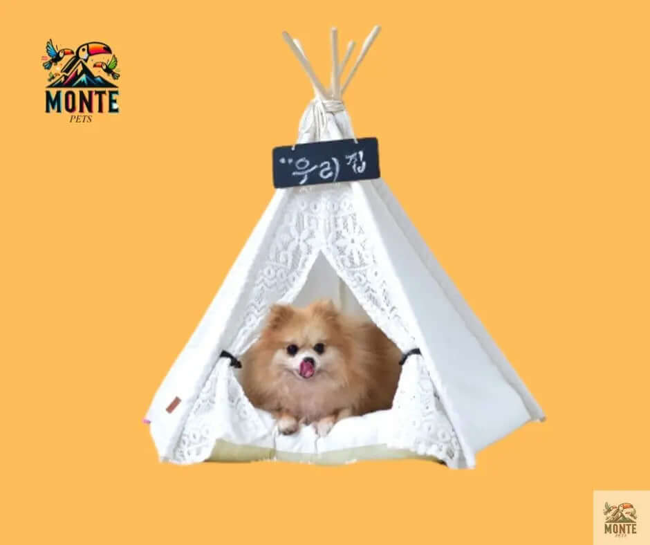 Haustier-Tipi - CozyTeepee - 50x50x60 cm