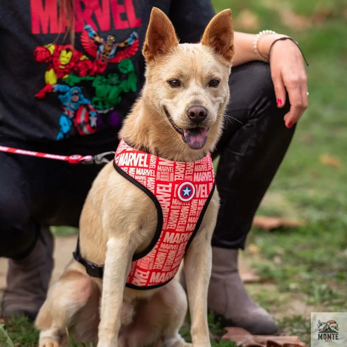 Hundegeschirr Marvel Reversibel Rot XS-MONTE-PETS