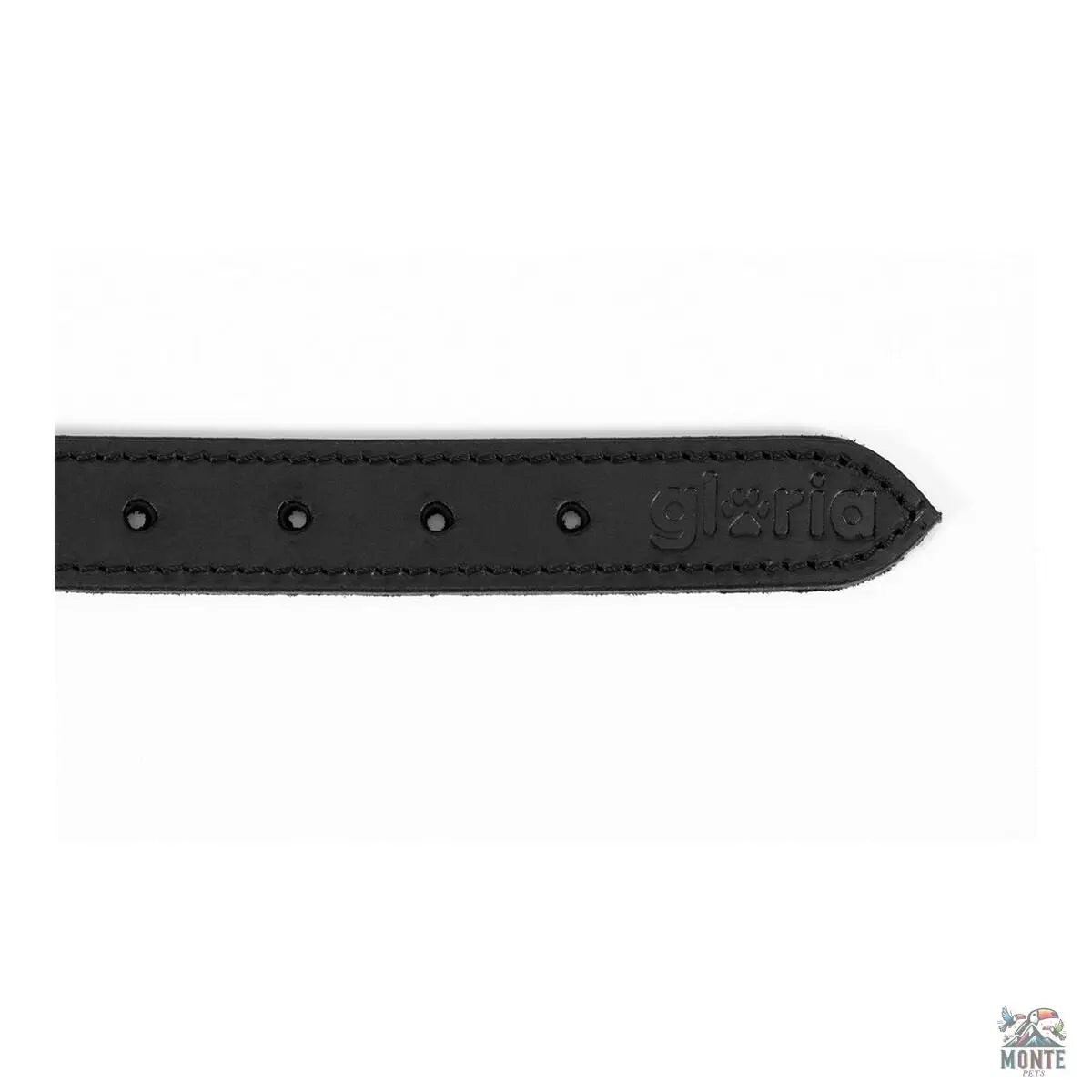 Hundehalsband Gloria Duna Schwarz Gold 60 cm (60 x 2.5 cm) | MONTE PETS