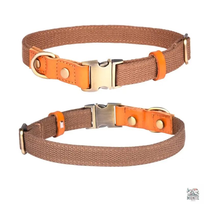 Komfort Klassik – Elegantes Hundehalsband aus Leder | MONTE PETS