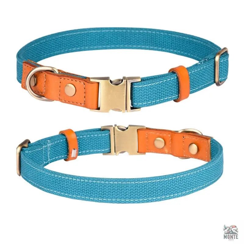 Komfort Klassik – Elegantes Hundehalsband aus Leder | MONTE PETS
