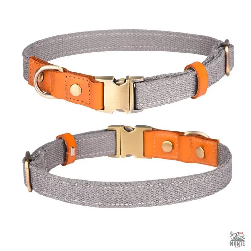 Komfort Klassik – Elegantes Hundehalsband aus Leder | MONTE PETS