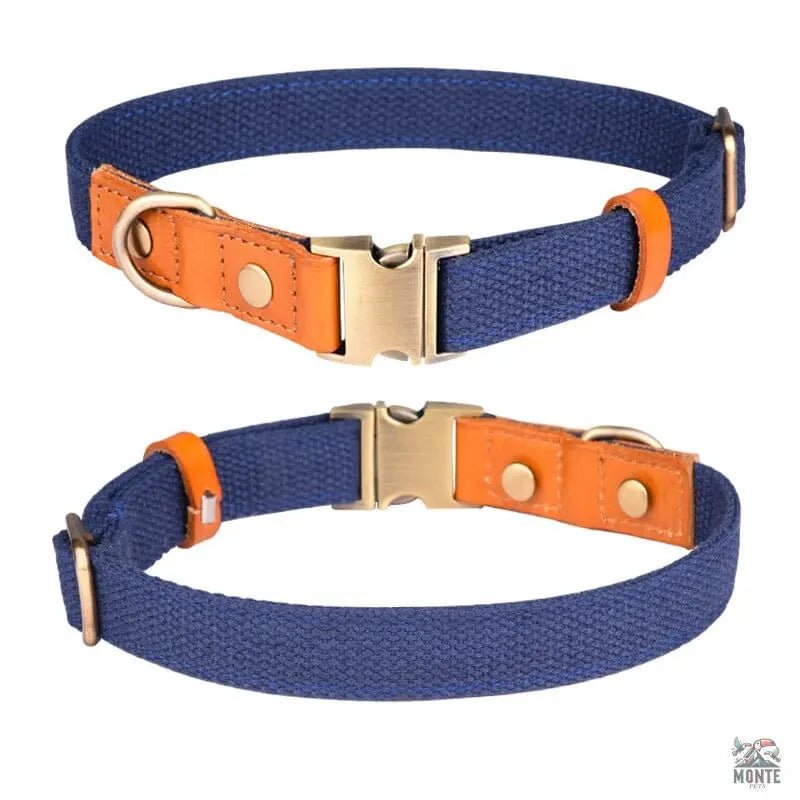Komfort Klassik – Elegantes Hundehalsband aus Leder | MONTE PETS