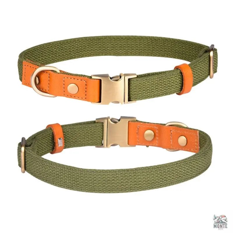 Komfort Klassik – Elegantes Hundehalsband aus Leder | MONTE PETS